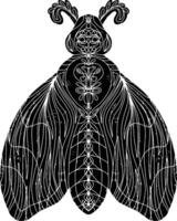 A moth with intricate patterns on it vector