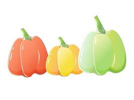Flat sweet peppers set in different colors. Red yellow and green vector