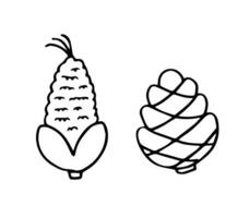 Autumn elements leaves, herbs, chestnut, acorn in sketch style Hand drawn illustration isolated on white background vector
