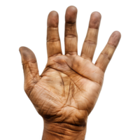 Close-up of a Wrinkled Hand with Open Palm png