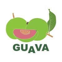 red guava illustration vector