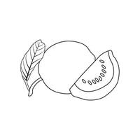 illustration of a guava image vector