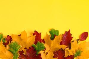 Frame from fallen autumn maple leaves on a bright yellow background. Colorful fall foliage. Backdrop for design. photo