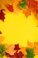 Frame from fallen autumn maple leaves on a bright yellow background. Colorful fall foliage. Backdrop for design. photo