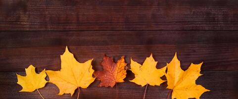 Frame from yellow autumn leaves on a brown wooden background. Fallen foliage. Backdrop for design. photo