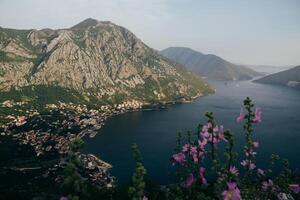 Vibrant flowers frame a breathtaking view of Kotor Bay in Montenegro during a serene twilight hour photo