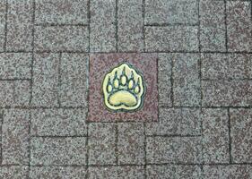 bear's paw as a symbol of the city of yaroslavl, element on sidewalks photo