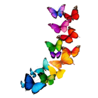 A vibrant array of rainbow butterflies fills the space, each uniquely decorated, showcasing natures beauty, beautiful rainbow colored butterflys on transparent background png