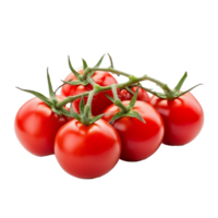 A cluster of ripe red tomatoes on green vines against a transparent background, showcasing their beauty and freshness, bunch of tomatoes on transparent background png
