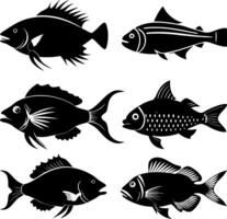 Fish icons set on the white background. vector