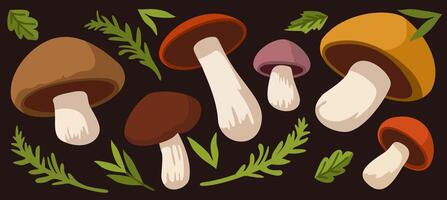 set of bright mushrooms and forest green branches on dark brown background vector