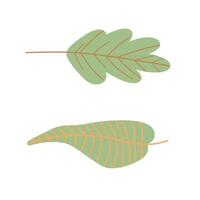 Two green leaves with simple, elegant design, ideal for nature blogs, environmental campaigns, or botanical illustrations vector