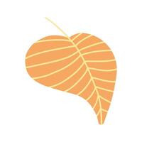 An orange fall leaf illustration with simple, bold lines. Perfect for seasonal designs, autumn-themed content, and botanical illustrations with vibrant foliage vector