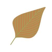 Minimalist autumn leaf design featuring earthy tones and clean lines. Perfect for seasonal, nature-inspired content, eco-friendly themes, or fall decor projects vector