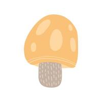 Pale yellow mushroom with delicate detailing, ideal for nature-inspired content, botanical designs, or autumn-themed decor emphasizing forest and fungi illustrations vector