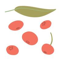 Vibrant illustration of autumn berries and leaves in red and green. Ideal for harvest-themed designs, botanical projects, or seasonal food-related visuals vector