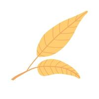 Yellow fall leaf illustration with a clean, minimalist design. Ideal for seasonal content, botanical themes, and bright, playful autumn visuals focused on nature vector
