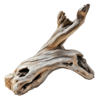 This driftwood log features distinct curves and textures, highlighting its natural beauty on a plain transparent background, driftwood log on transparent background png