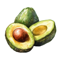 This artwork features beautifully rendered half avocados highlighting their smooth texture and colorful interior, half avocados in drawing on transparent background png