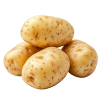 cuatro Fresco patatas son apilado juntos, destacando su terroso textura y cremoso superficie en contra un transparente fondo, grupo de patatas aislado transparente antecedentes png