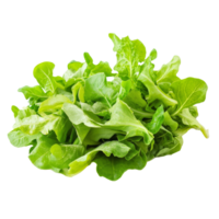 A vibrant assortment of fresh salad leaves is arranged neatly, showcasing their crisp texture and natural color, fresh salad leaves on transparent background png