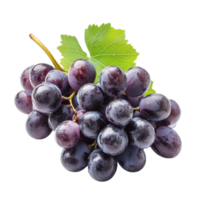 A cluster of fresh black grapes with a green leaf on a bright transparent background, grapes on transparent background png