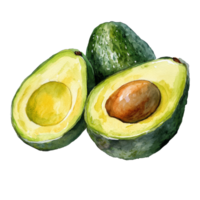 A detailed watercolor drawing displays half avocados, revealing their bright green flesh and brown pit, half avocados in drawing on transparent background png