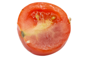 half tomato isolated on transparent background png