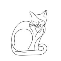 domestic cat, linear hand drawn illustration on white background vector