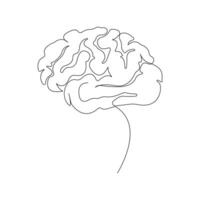 Continuous line art drawing of human brain. Hand-drawn brain illustration isolated on white background. vector