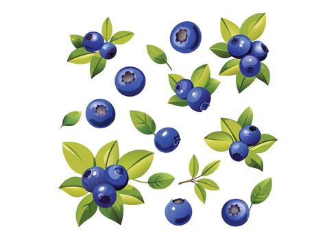 blueberry wall decals vector