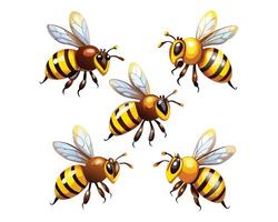bees with different colors vector