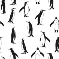 Seamless pattern with penguin. Hand drawn illustration. vector