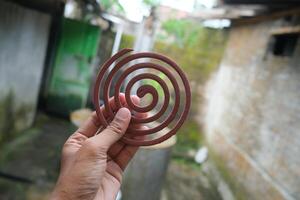 Close-up of a hand holding a brown mosquito repellent coil. photo