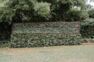 Decorative wall adorned with various plants, creating a fresh and vibrant look photo