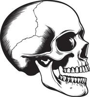 Skull skeleton head side view clean simple black vector