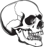 Skull skeleton head side view clean simple black vector