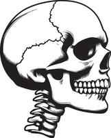 Skull skeleton head side view clean simple black vector