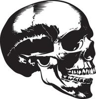 Skull skeleton head side view clean simple silhouette black vector
