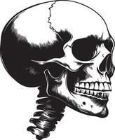 Skull skeleton head side view clean simple silhouette black vector