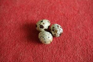 Three speckled quail eggs on a red surface. photo