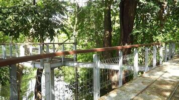 A walkway with metal railings and trees in the forest video