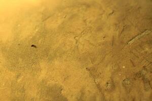 Close-up of rough, textured, yellow surface. photo