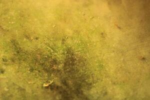 Abstract green and gold textured background. photo
