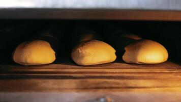 Slow motion shot of bread baking in the oven. Baking bread in the oven. Bakery shop, the process of bread rising in the oven. video