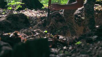 A Ukrainian soldier digs trenches in the forest during military operations. A soldier digs in the forest with a shovel, prepares a defensive position or a trench. video