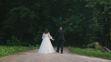 Bride and Groom Walking Hand in Hand Toward Forest Path. A bride and groom are seen from behind, walking hand in hand down a quiet path towards a dense forest. video