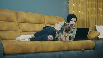 A woman who works remotely at home, lying on the couch working at a computer with a dog. The concept of home comfort video