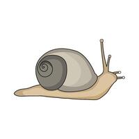 illustration of snail vector