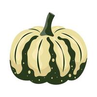 Pumpkin shapes and colors. Thanksgiving and Halloween Elements. Harvesting flat cartoon style vector